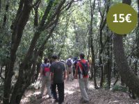 Excursió a l'alzinar de la Mola de Colldejou, Serra de Llaberia